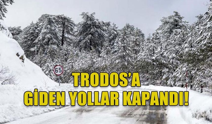 TRODOS'A GİDEN YOLLAR KAR YAĞIŞI SEBEBİYLE KAPANDI!