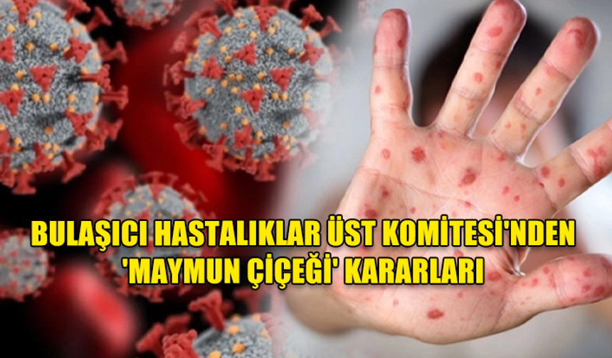 BULAŞICI HASTALIKLAR ÜST KOMİTESİ'NDEN 'MAYMUN ÇİÇEĞİ' KARARLARI