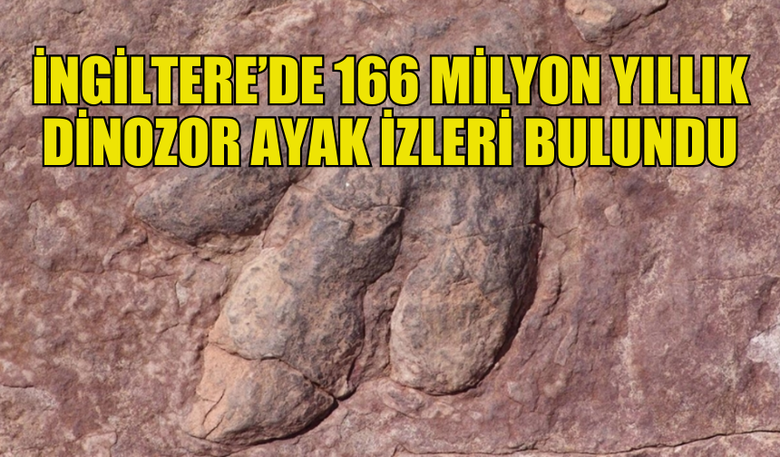 İNGİLTERE’DE 166 MİLYON YILLIK DİNOZOR AYAK İZLERİ BULUNDU