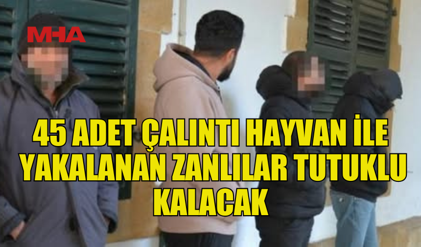 SAHTE KULAK NUMARALI 45 KÜÇÜKBAŞ HAYVAN İLE YAKALANDILAR