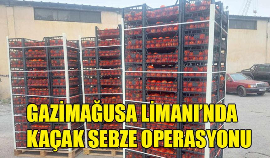 GAZİMAĞUSA LİMANI’NDA 17 TON KAÇAK SEBZE VE MEYVE YAKALANDI