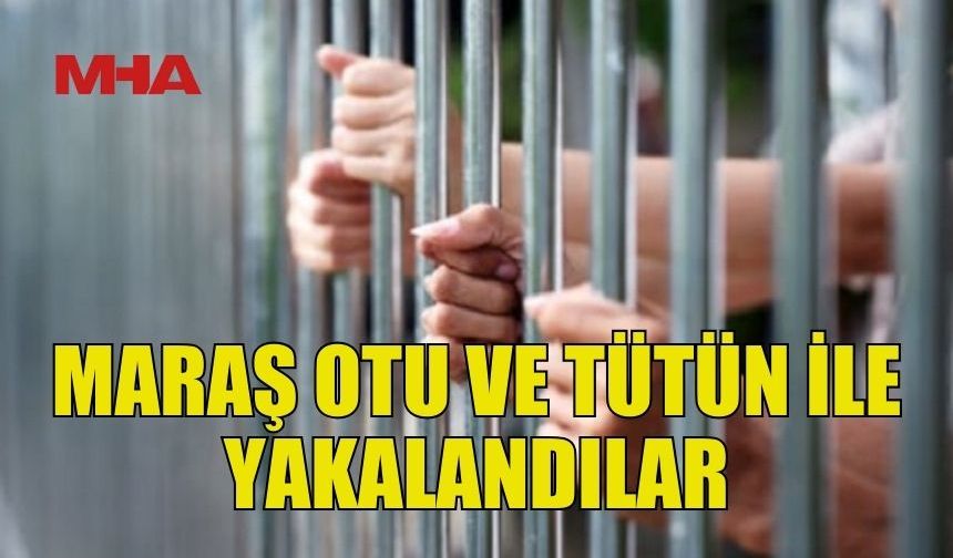 GİRNE LİMANI’NDA MARAŞ OTU VE TÜTÜN ELE GEÇİRİLDİ