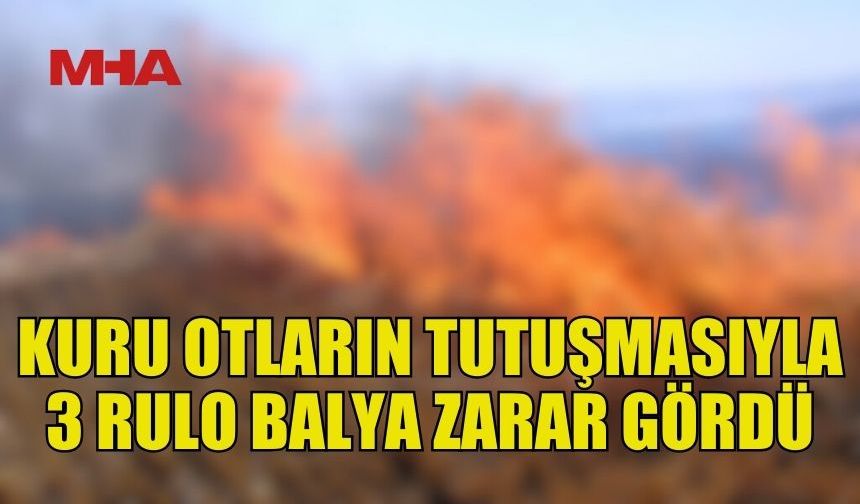 MİNARELİKÖY'DE YANGIN: 4 DÖNÜM ARAZİ ZARAR GÖRDÜ