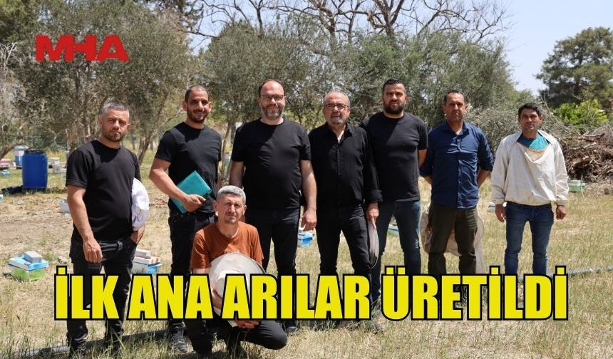 ÜLKEDE İLK ANA ARILAR ÜRETİLDİ