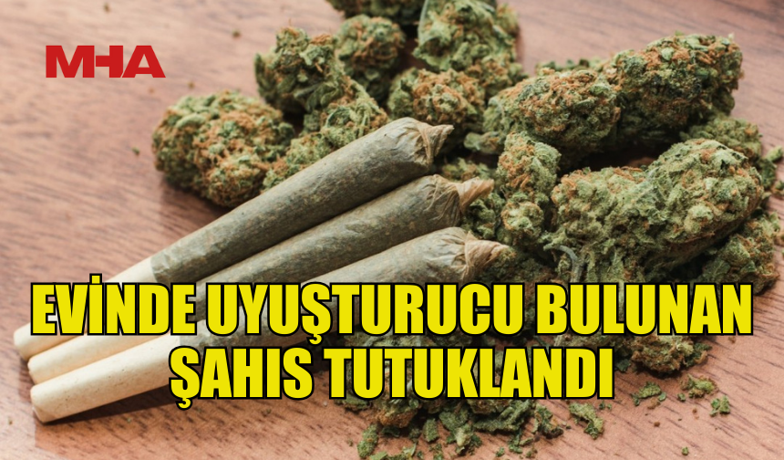 EVİNDE HİNTKENEVİRİ BULUNAN ŞAHIS TUTUKLANDI