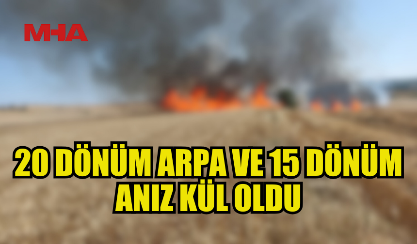 AKDOĞAN’DA YANGIN: 35 DÖNÜM ZARAR GÖRDÜ