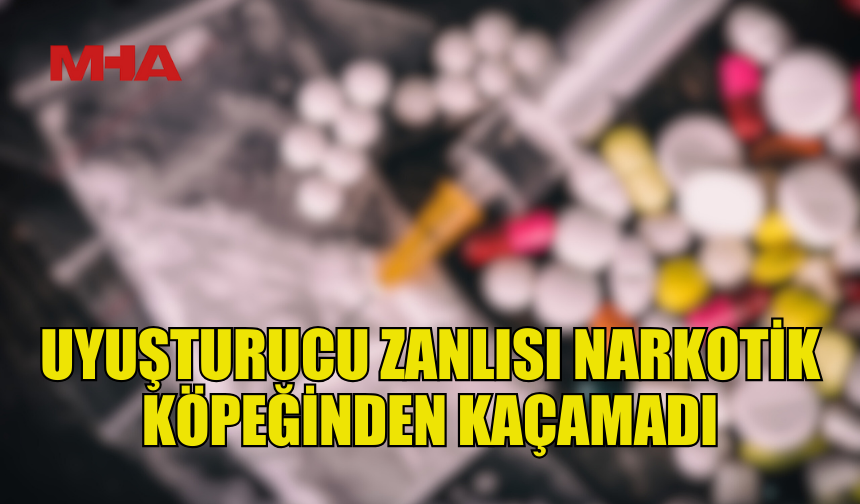 HİNTKENEVİRİ VE CİNSEL İÇERİKLİ HAPLAR ELE GEÇİRİLDİ