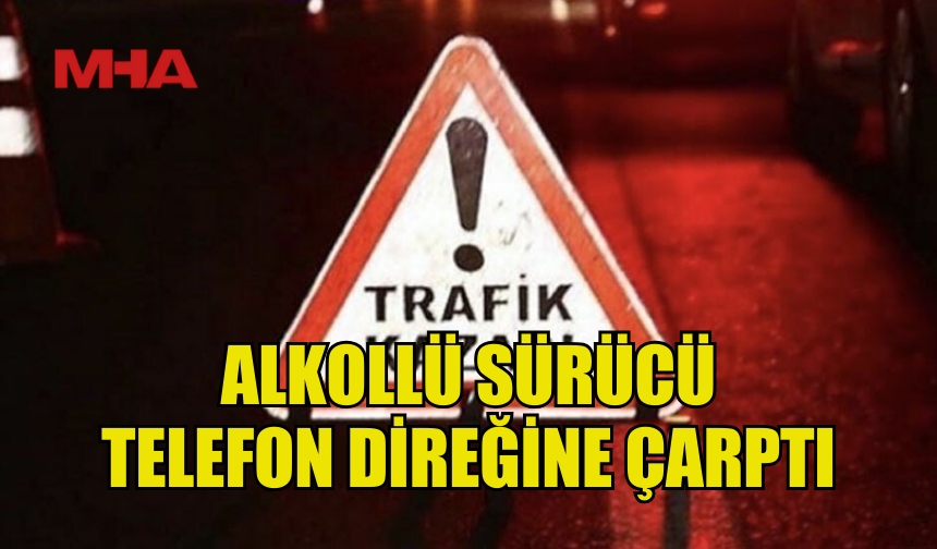 144 PROMİL ALKOLLE KAZA YAPTI