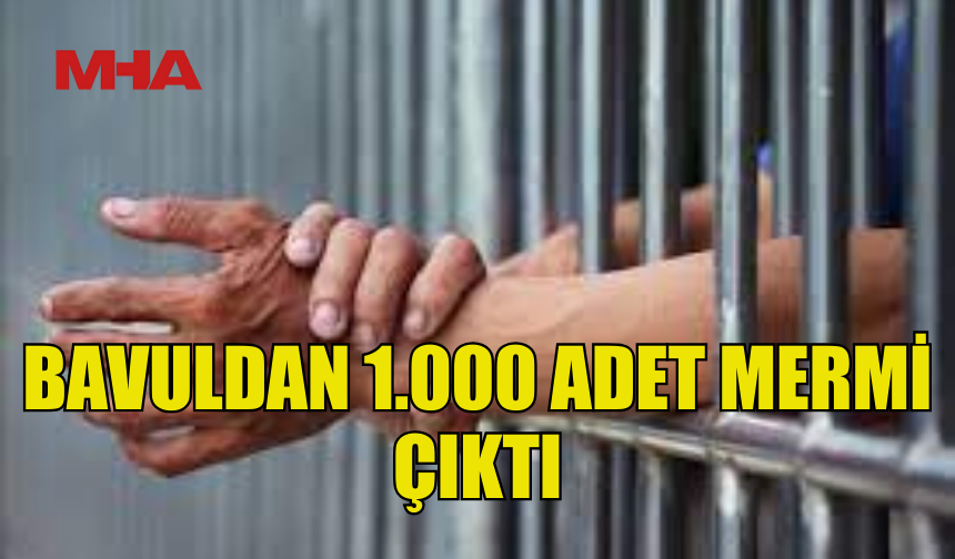 78 YAŞINDAKİ ŞAHIS HAVA TÜFEĞİ MERMİSİYLE YAKALANDI