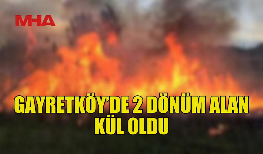 GAYRETKÖY’DE BAHÇE YANGINI: 26 AĞAÇ KÜLE DÖNDÜ