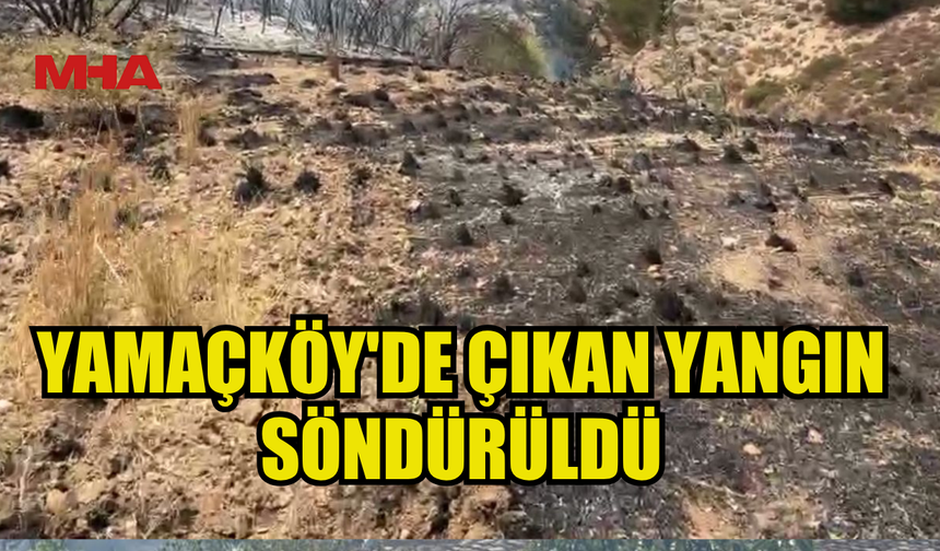 YAMAÇKÖY'DE ÇIKAN YANGIN  SÖNDÜRÜLDÜ