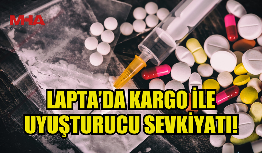 KARGONUN İÇİNDEN HİNTKENEVİRİ ÇIKTI