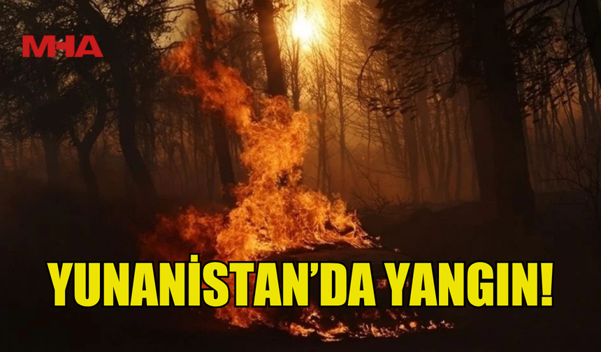 YUNANİSTAN'DAKİ SEREZ VE OREOKASTRO'DA ORMAN YANGINI ÇIKTI