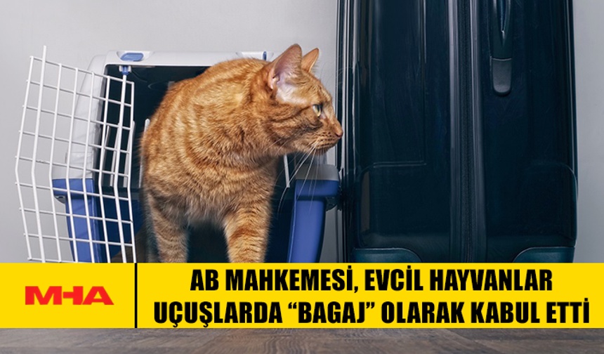 AVRUPA ADALET DİVANI: EVCİL HAYVAN ‘BAGAJ’ SAYILABİLİR