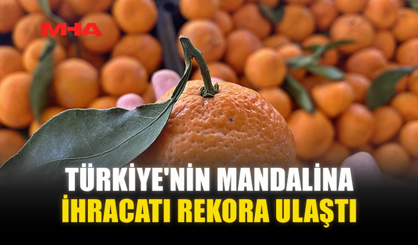TÜRKİYE'NİN MANDALİNA İHRACATI REKORA ULAŞTI