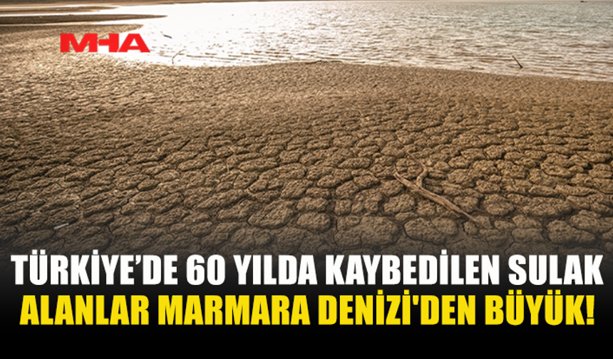 TÜRKİYE’DE 60 YILDA KAYBEDİLEN SULAK ALANLAR MARMARA DENİZİ'DEN BÜYÜK!