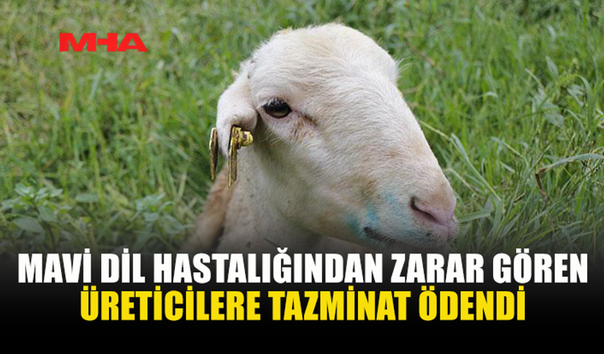 MAVİ DİL ZARARLARI TAZMİN EDİLDİ