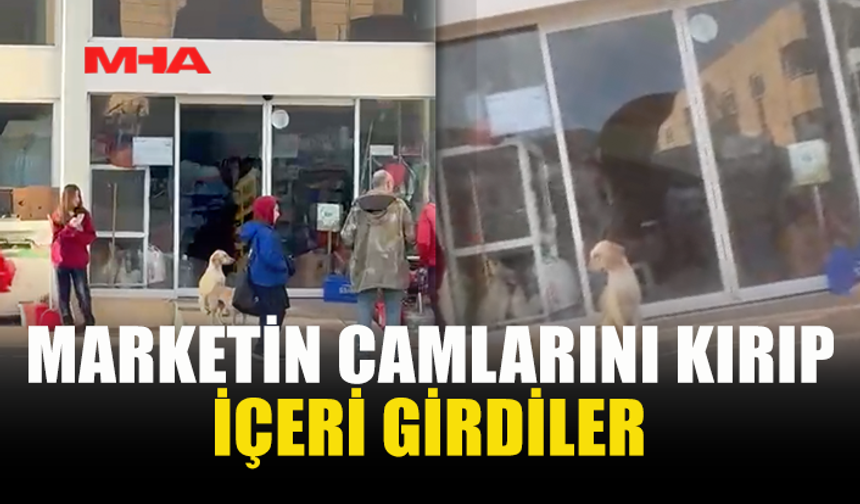 YENİBOĞAZİÇİ’NDE MARKETE HIRSIZLIK