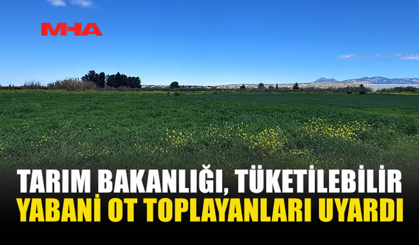 TARIM BAKANLIĞI'NDAN, TÜKETİLEBİLİR YABANİ OT TOPLAYANLARA UYARI