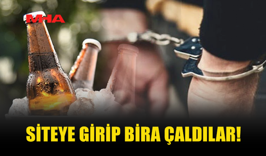 KİMLİĞİ MEÇHUL ŞAHIS/ŞAHISLAR SİTEDEN BİRA ÇALDI!