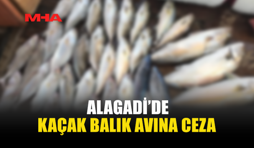 KAÇAK BALIK AVINA 60 BİN TL’Yİ AŞAN CEZA
