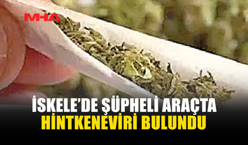 İSKELE'DE HİNTKENEVİRİ ELE GEÇİRİLDİ