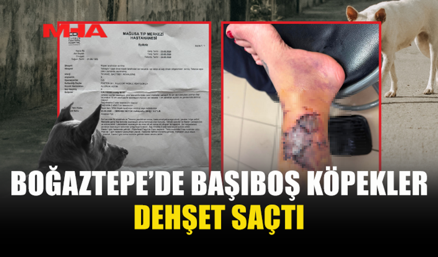 BOĞAZTEPE’DE VATANDAŞA KÖPEK SALDIRDI!