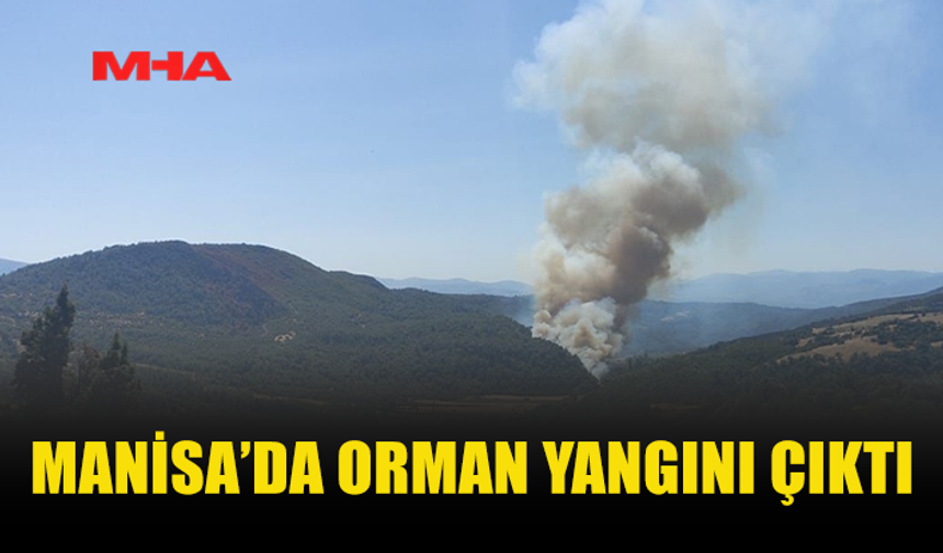 MANİSA'NIN SOMA İLÇESİNDE ORMAN YANGINI ÇIKTI