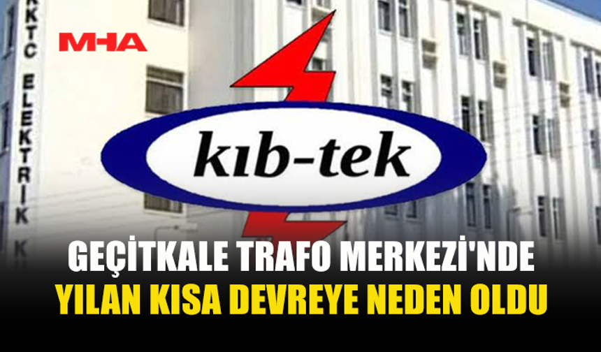 TRAFOYA GİREN YILAN ÇOK SAYIDA BÖLGEDE KESİNTİYE YOL AÇTI