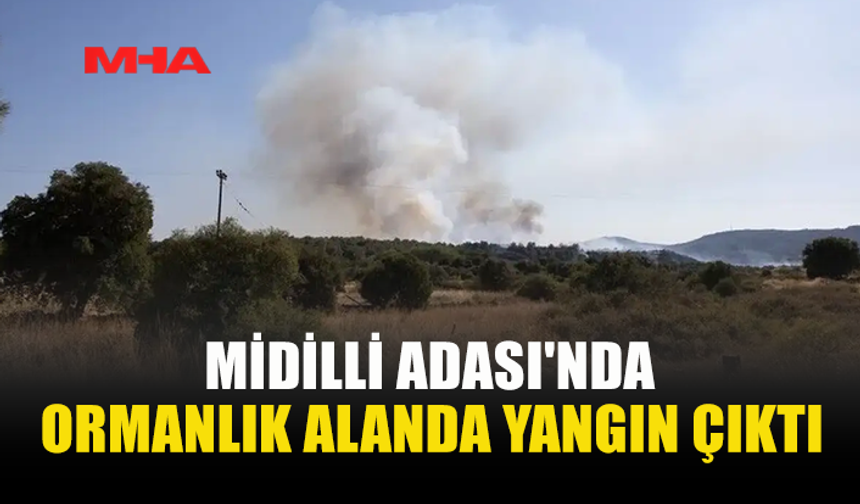 YUNANİSTAN’DA BİR ADA DAHA ALEVLERE TESLİM OLDU