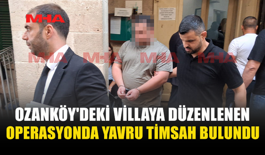 OZANKÖY'DEKİ VİLLADAN YAVRU TİMSAH VE MERMİ ÇIKTI