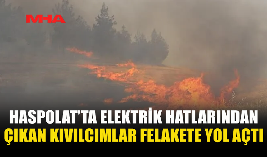 HASPOLAT'TA ELEKTRİK TELLERİNDEN ÇIKAN KIVILCIM YANGINA ÇIKARDI