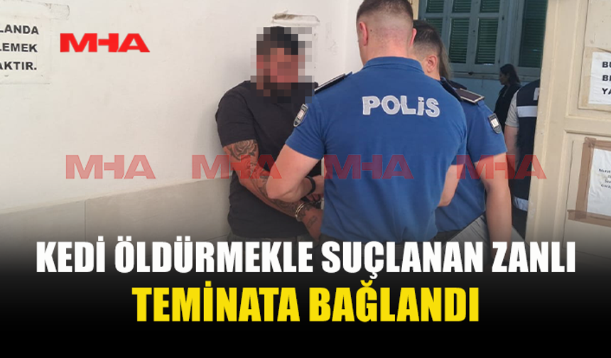 HAVA TÜFEĞİYLE VURULAN KEDİ ÖLDÜ, ZANLI SERBEST KALDI