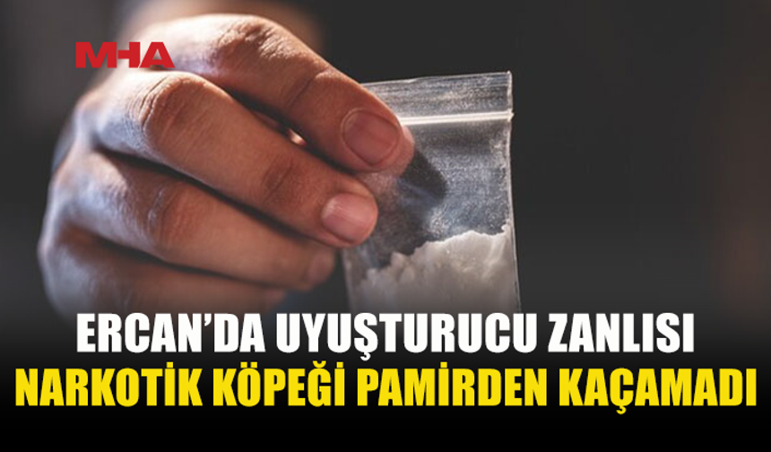 PAMİR TEPKİ VERDİ, YOLCUNUN ÜZERİNDEN YASAKLI MADDE ÇIKTI
