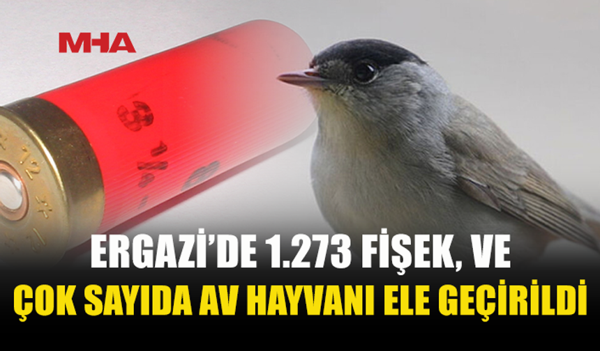 EVİNDE 1.273 AV TÜFEĞİ FİŞEĞİ VE 40 PULYA BULUNDU