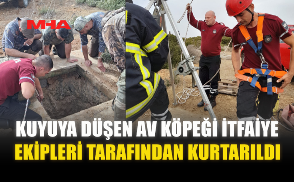 KUYUYA DÜŞEN AV KÖPEĞİ İTFAİYE EKİPLERİ TARAFINDAN KURTARILDI