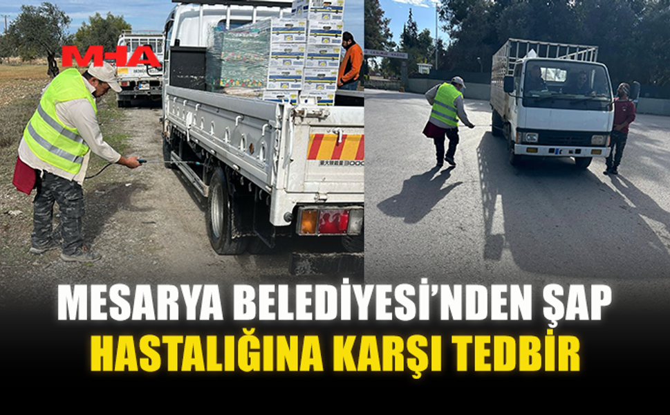 MESARYA BELEDİYESİ’NDEN ŞAP HASTALIĞINA KARŞI TEDBİR