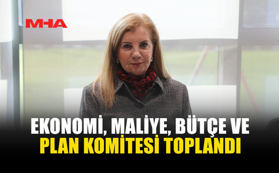 EKONOMİ, MALİYE, BÜTÇE VE PLAN KOMİTESİ TOPLANDI