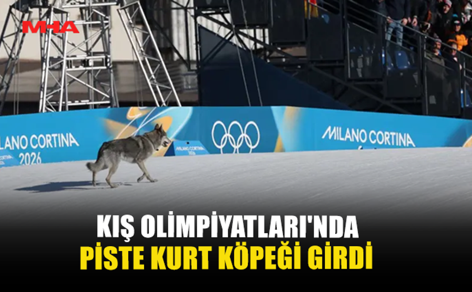 KIŞ OLİMPİYATLARI’NDA PİSTE KURT KÖPEĞİ GİRDİ