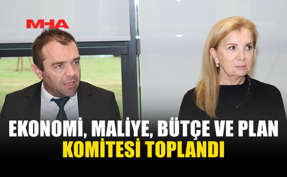 EKONOMİ, MALİYE, BÜTÇE VE PLAN KOMİTESİ TOPLANDI