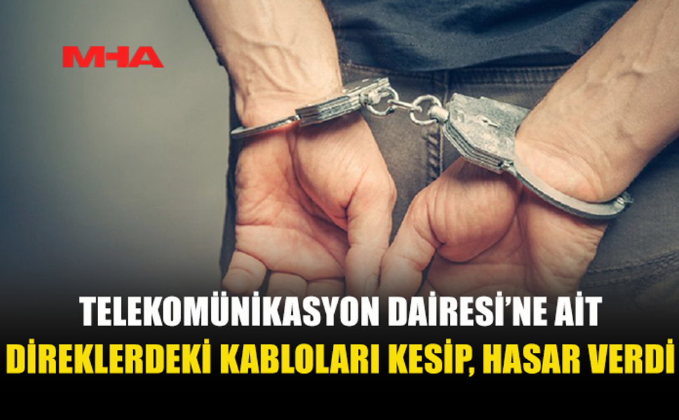TELEKOMÜNİKASYON DAİRESİ’NE AİT DİREKLERDEKİ KABLOLARI KESİP, HASAR VERDİ