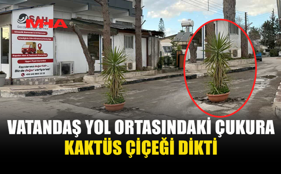 VATANDAŞ YOL ORTASINDAKİ ÇUKURA KAKTÜS ÇİÇEĞİ DİKTİ