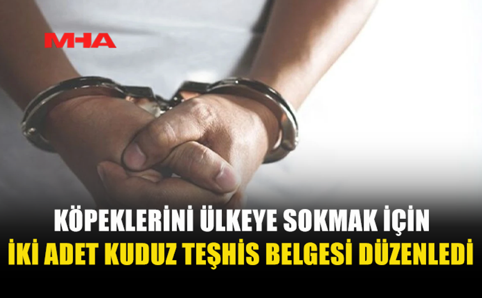 KÖPEKLERİNİ ÜLKEYE SOKMAK İÇİN İKİ ADET KUDUZ TEŞHİS BELGESİ DÜZENLEYEN ŞAHIS TUTUKLANDI
