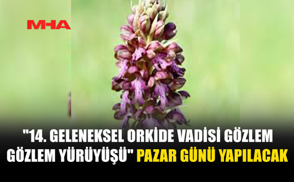 ORKİDE VADİSİ GÖZLEM YÜRÜYÜŞÜ 15 MART’TA