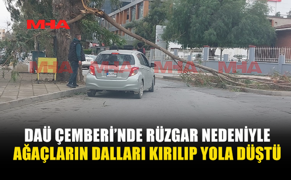 RÜZGAR OKALİPTÜS DALLARINI KIRDI, TRAFİK AKSADI
