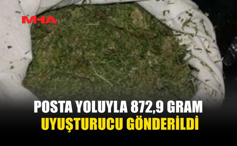 872 GRAM HİNTKENEVİRİ ELE GEÇİRİLDİ
