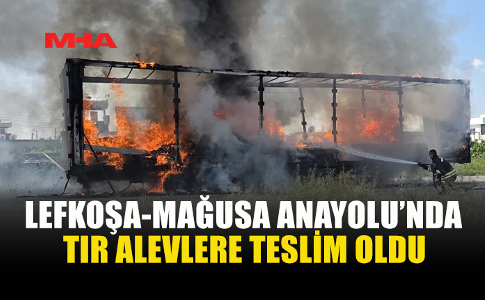 TIR KÜLE DÖNDÜ! BU YOLU KULLANACAKLAR OLANLAR DİKKAT!