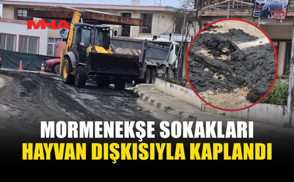 MORMENEKŞE'NİN YOLLARI DIŞKIYLA DOLDU