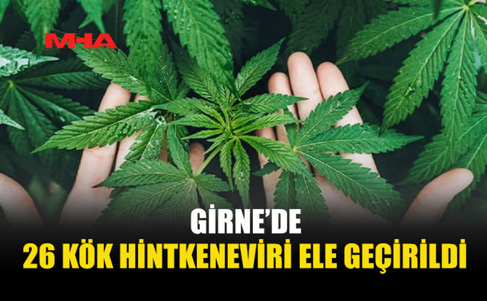 GİRNE’DE HİNTKENEVİRİ ELE GEÇİRİLDİ