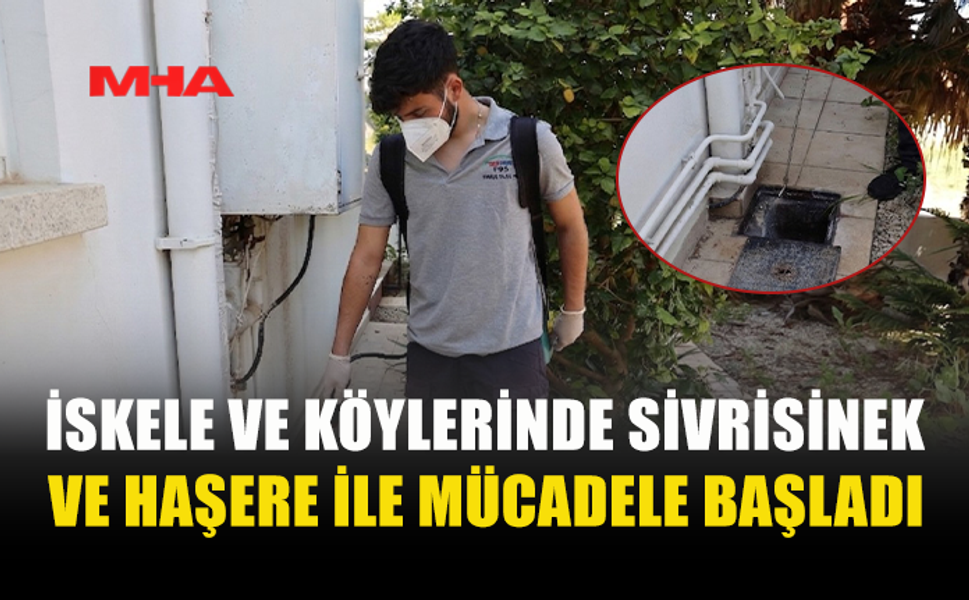 İSKELE VE KÖYLERİNDE SİVRİSİNEK VE HAŞEREYE KARŞI İLAÇLAMA SEFERBERLİĞİ